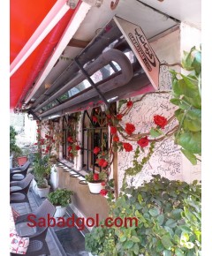 گل رز رونده مصنوعی